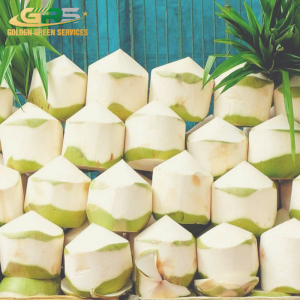 Dừa Gọt Kim Cương