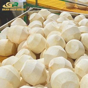 Dừa Gọt Kim Cương
