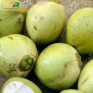 Dừa Xanh