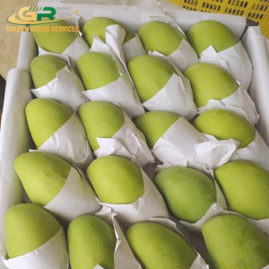 Xoài Keo Xanh