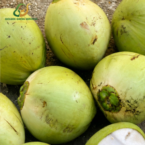 Dừa Xanh