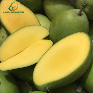 Xoài Keo Xanh