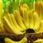 [Tin thị trường] Việt Nam là nhà cung cấp chuối lớn nhất cho thị trường Trung Quốc