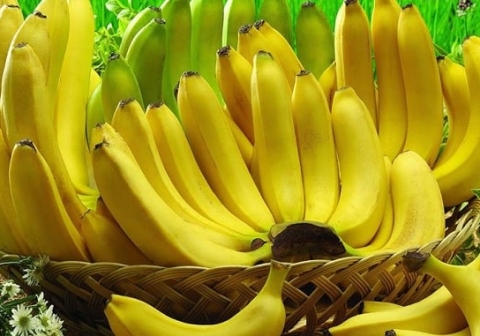 [Tin thị trường] Việt Nam là nhà cung cấp chuối lớn nhất cho thị trường Trung Quốc