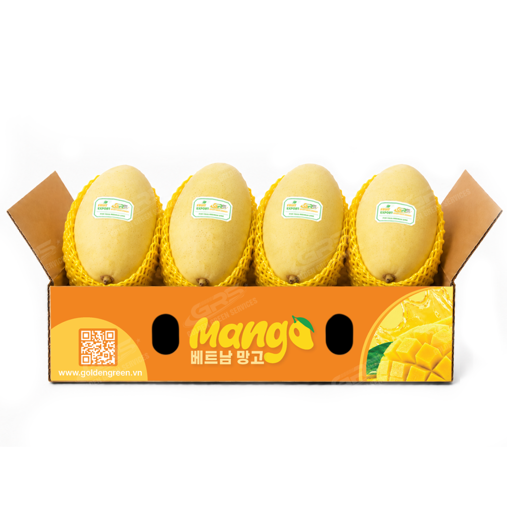 Xoài Cát Chu Vàng