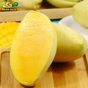 Yellow Kaew Mango