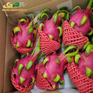 Red Dragon Fruit