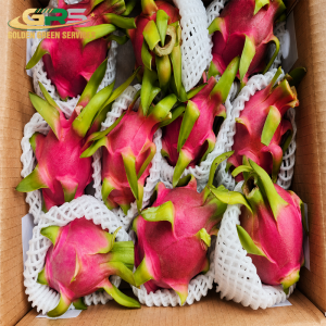 Red Dragon Fruit