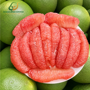 Green Skin Grapefruit