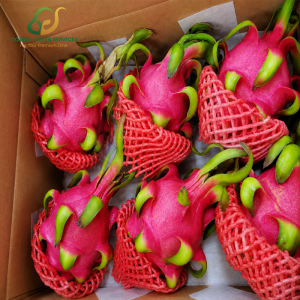 Red Dragon Fruit