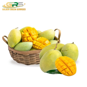 Xoài Cát Hoà Lộc