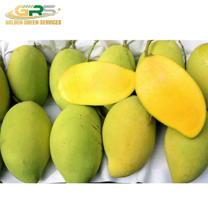 Xoài Cát Hoà Lộc