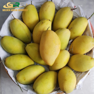 Xoài Cát Hoà Lộc