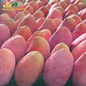 Peach Mango