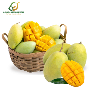 Xoài Cát Hoà Lộc