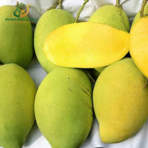 Xoài Cát Hoà Lộc