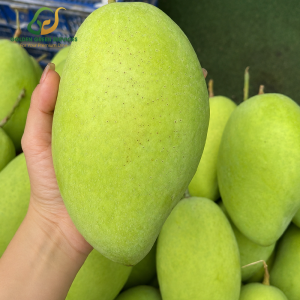 Xoài Cát Hoà Lộc