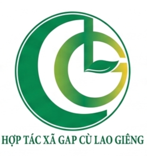 cropped_Gemini_Generated_Image_qx5amwqx5amwqx5a (2)