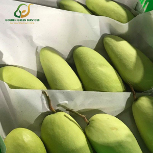 Green Elephant Mango