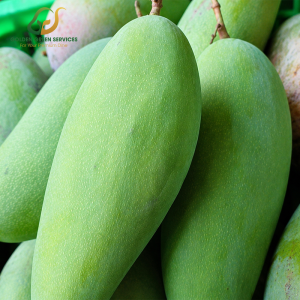 Green Elephant Mango