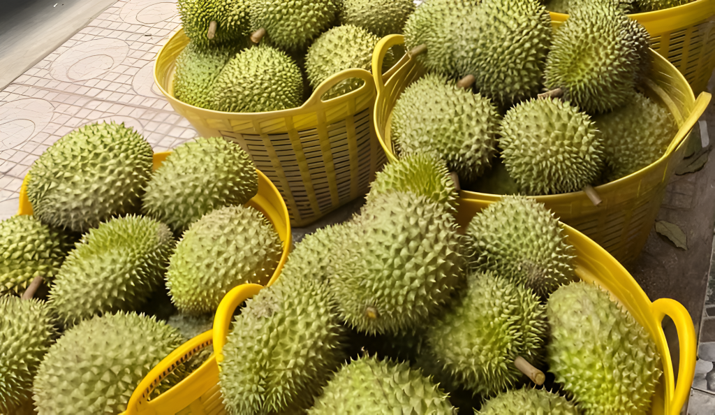 Xuất khẩu rau quả dự báo sẽ tăng trưởng tích cực trong quý III