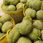 Xuất khẩu rau quả dự báo sẽ tăng trưởng tích cực trong quý III