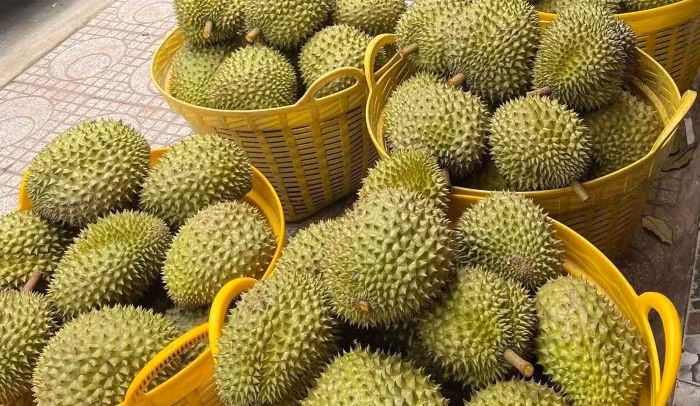 Fruit and Vegetable Exports Forecast to Grow Positively in Q3