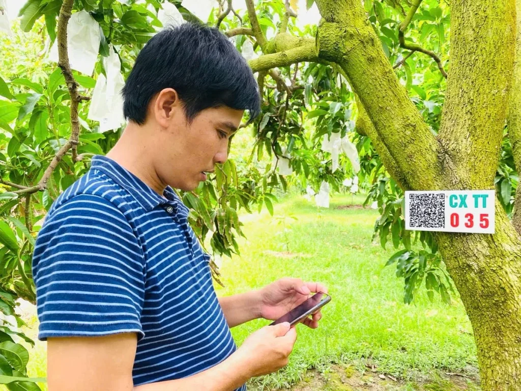 Vượt ‘hai lớp cửa’ châu Âu, nông sản Việt phải quản trị rủi ro từ gốc