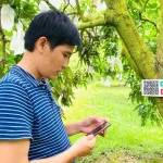 Vượt ‘hai lớp cửa’ châu Âu, nông sản Việt phải quản trị rủi ro từ gốc